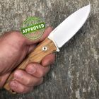 Approved Lionsteel - M4 - Ulivo Wood - COLLEZIONE PRIVATA - M4UL - coltello