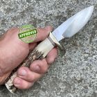 Approved Randall Knives - Model 11 Alaskan Skinner Stag Horn - COLLEZIONE PRIVA