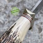 Approved Randall Knives - Model 11 Alaskan Skinner Stag Horn - COLLEZIONE PRIVA
