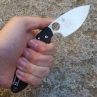Spyderco - Ouroboros by Paul Alexander - C207G - coltello