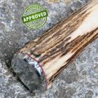 Approved Livio Montagna - Hunting knife 2018 Cervo Sambar - COLLEZIONE PRIVATA