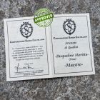 Approved Pasqualino Morittu - Pattada Resolza in corno di montone - COLLEZIONE