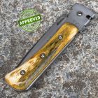 Approved Alain Descy - Bonvent custom Knife - osso - COLLEZIONE PRIVATA - colte