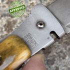 Approved Alain Descy - Bonvent custom Knife - osso - COLLEZIONE PRIVATA - colte
