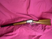 Marlin 1894