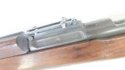 Springfield 1903