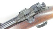Springfield 1903