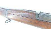 Springfield 1903