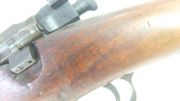 Springfield 1903