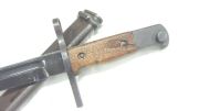 Arisaka Baio Arisaka