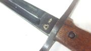 Arisaka Baio Arisaka