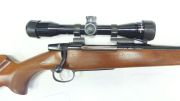 CZ 550
