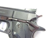 LAR Grizzly Mark I