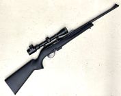 Remington 597 Magnum
