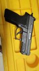 Sig Sauer P229 nitro