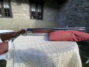 Fabarm gamma