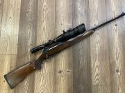 Sauer
