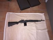 Springfield M1a scout (m14)