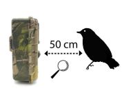 Boly Fototrappola Scout Guard SG2060-X focus fisso 50 cm