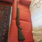 Winchester SX4