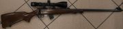 CZ 455