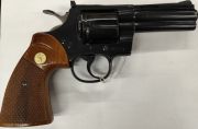 Colt