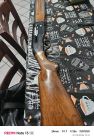 Beretta 301