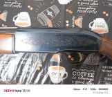 Beretta 301