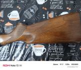 Beretta 301