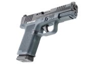 Ruger RXM