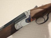 Salvinelli L1