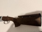 Salvinelli L1