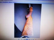 Breda PEGASO ANNIVERSARY