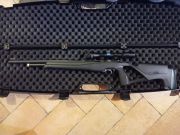 Stoeger XM1