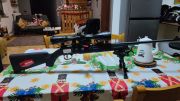 Savage A22