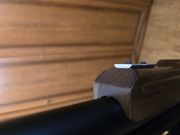 Kalibrgun cricket