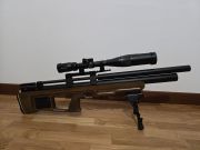 Kalibrgun cricket