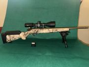 Ruger Rimfire camo