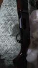 Browning 2000