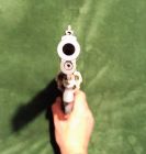 Smith & Wesson XVR460