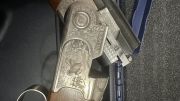 Beretta Armi SILVER Pigeon 3
