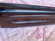 BENELLI, BENELLI ARMI Dynamic
