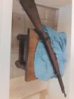 Springfield 1903