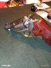 Ruger sp 101
