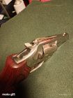 Ruger sp 101