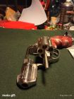 Ruger sp 101