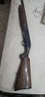 Beretta A301