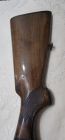 Beretta A301