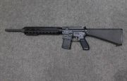 Sig Sauer M400