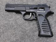 Tanfoglio FORCE 22 L